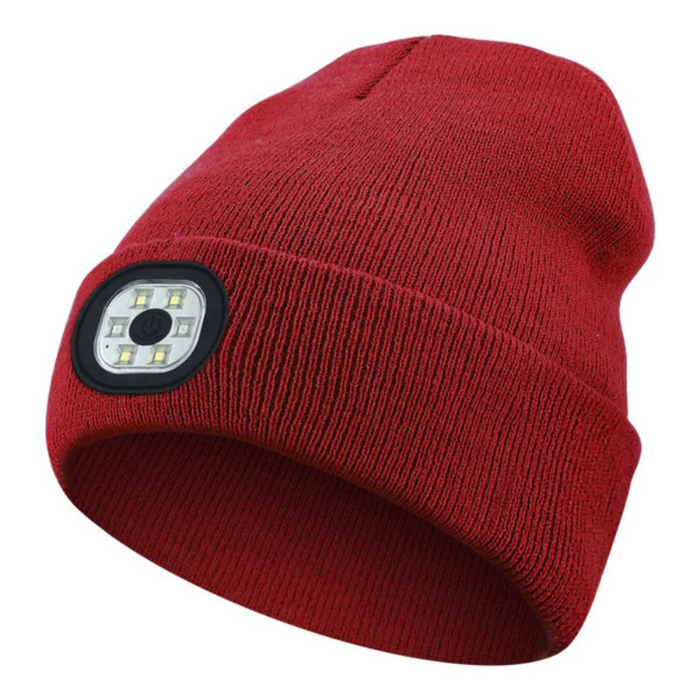 Holiday LED Light Up Beanie Hat