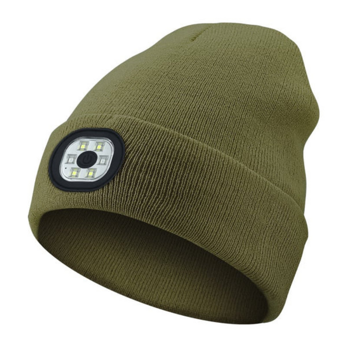 Holiday LED Light Up Beanie Hat