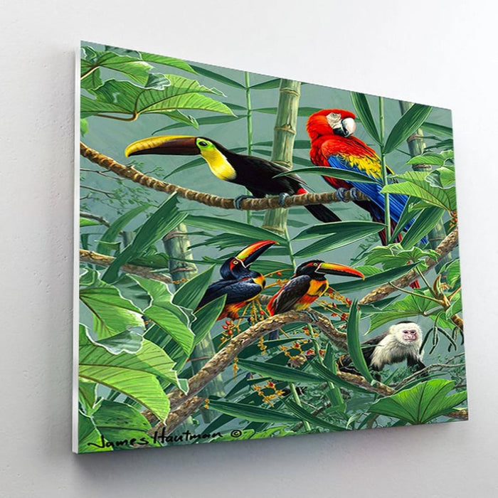 Paint By Numbers Kit - Rainforest Menagerie