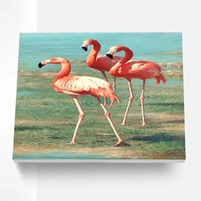 Paint By Numbers Kit - Flamingos