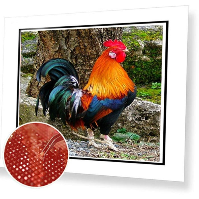 Paint By Diamonds Kit - Colorful Rooster 5D