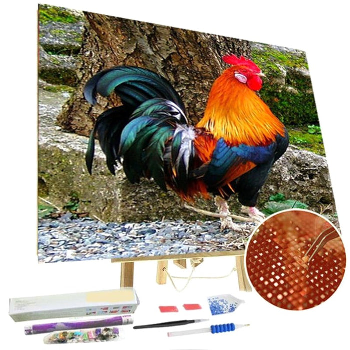 Paint By Diamonds Kit - Colorful Rooster 5D