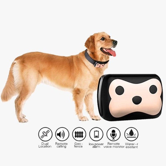 GPS Dog Tracker