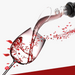 Wine Aerator Decanter Pourer - FREE SHIP DEALS