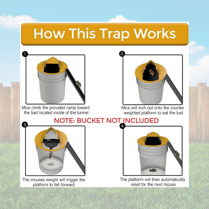 Flip N Slide Lid Mouse Trap