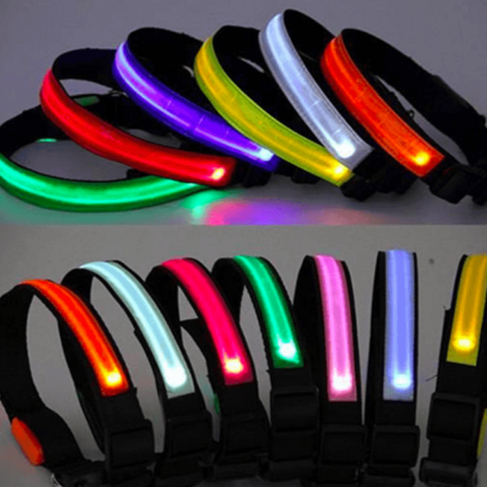 LED Dog Collar - Assorted Colors and Sizes - FREE SHIP DEALS