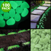 100-Pack: Glow in the Dark Garden Pebbles - FREE SHIP DEALS